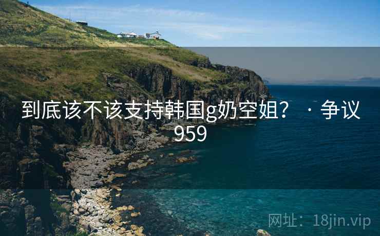 到底该不该支持韩国g奶空姐? · 争议959