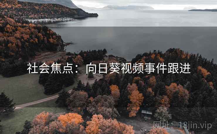 社会焦点:向日葵视频事件跟进