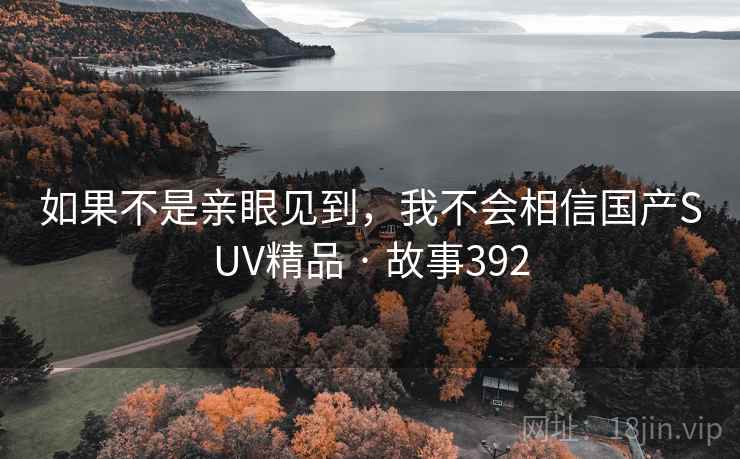 如果不是亲眼见到,我不会相信国产SUV精品 · 故事392